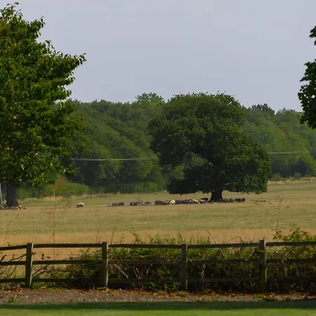 Casa vacanze Gilbertson House-york-luxury-sleeps 7 With Hot Tub